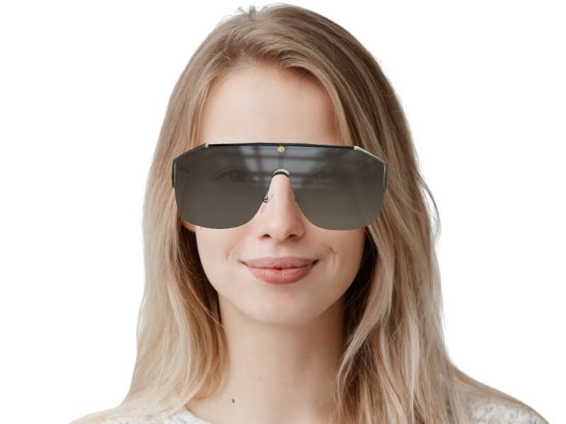 Gucci GG0291S 002